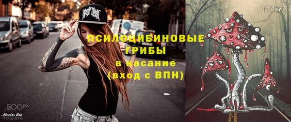 прущая мука Карпинск